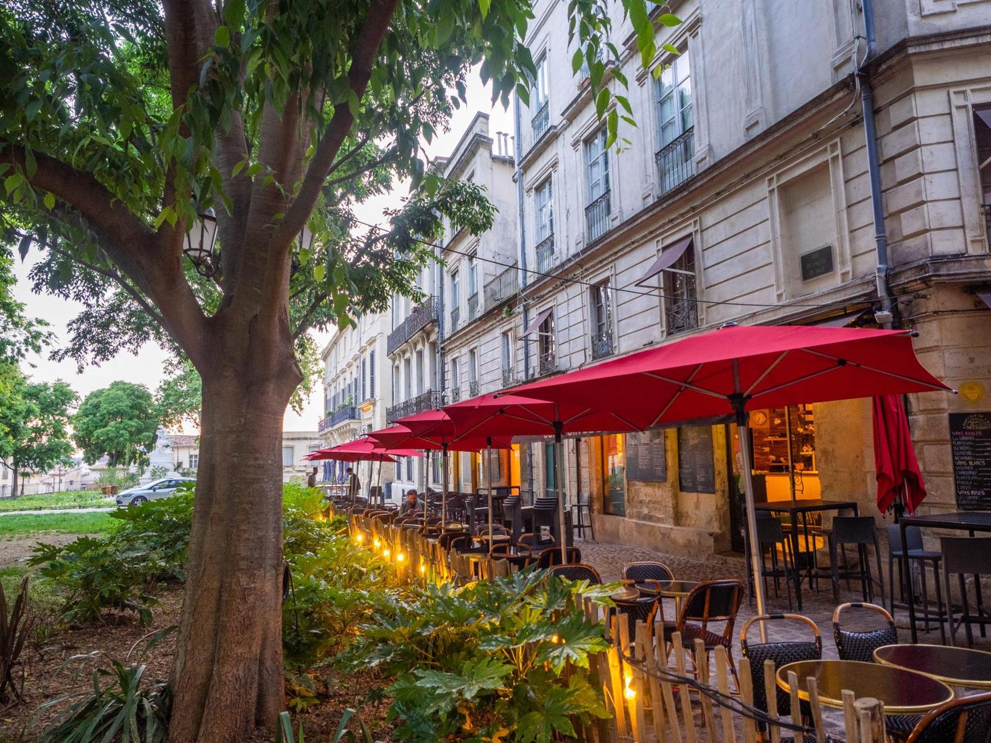 Le Platane De La Canourgue モンペリエ エクステリア 写真